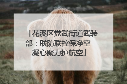 花溪区党武街道武装部：联防联控保净空 凝心聚力护航空
